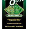 Lilly Miller Moss Out Granules, 20 lb.