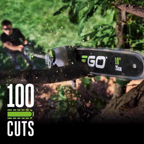 EGO Power+ Pole Saw Attachment, 10 Inch