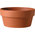 8.3" Terracotta Bulb Planter