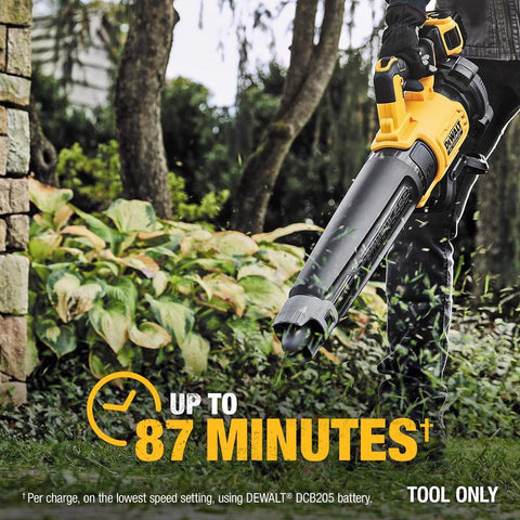 DeWalt 20V Blower Trimmer Kit