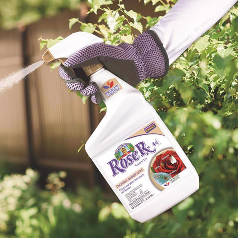 Bonide Rose Rx Insect Spray, Quart