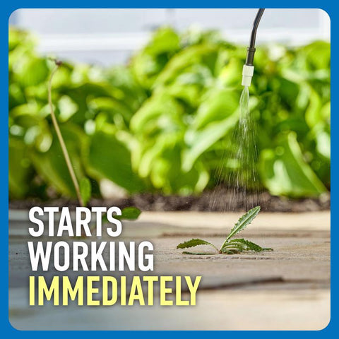 1.33GAL Weed Pumpngo