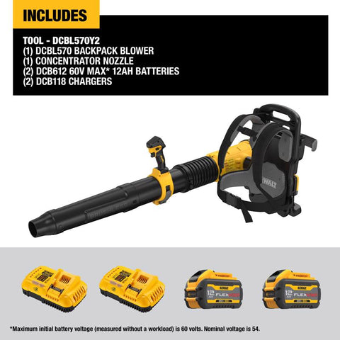 DeWalt Dw Blowr Bckpck Btry 60v