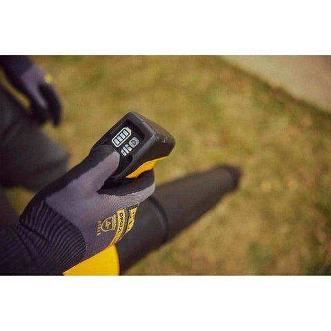DeWalt Dw Blowr Bckpck Btry 60v