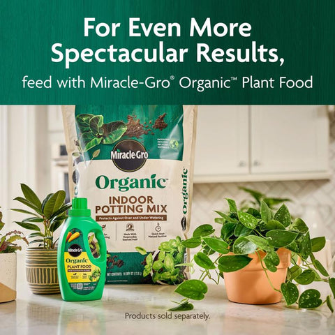 16QT Mg Org Potting Mix