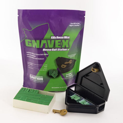 Gnavex Mouse Bait Blocks