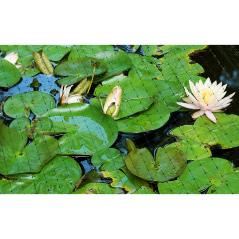 Tenax Pond & Plant Net, 7 ft x 100 ft