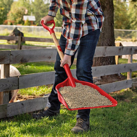 Ace Poly Grain Scoop, #12