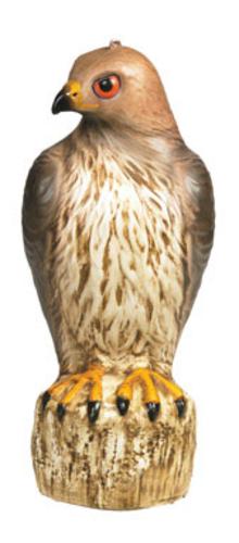 Bird-B-Gone Hawk Decoy