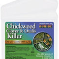 Bonide Chickweed & Clover Killer Concentrate, 1 pt
