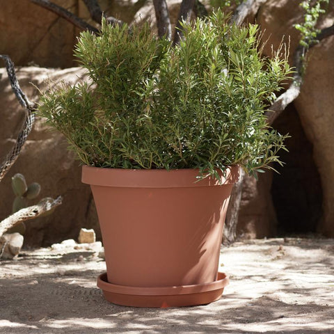 Bloem Terracotta Plant Saucer Tray, 20 IN.