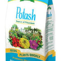 Espoma Greensand Potash Plant Food, 6 lb