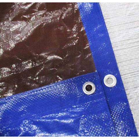 Ace Blue/brown Poly Tarp, 10' X 20'