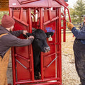 Tarter Cattleman Standard Squeeze Chute with Manual Headgate