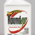 Roundup Weed & Grass Killer, 16 oz