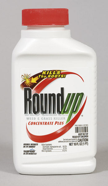 Roundup Weed & Grass Killer, 16 oz