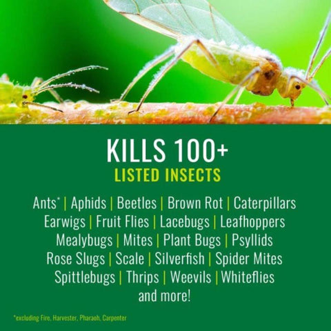 24OZ Rtu Insect Control