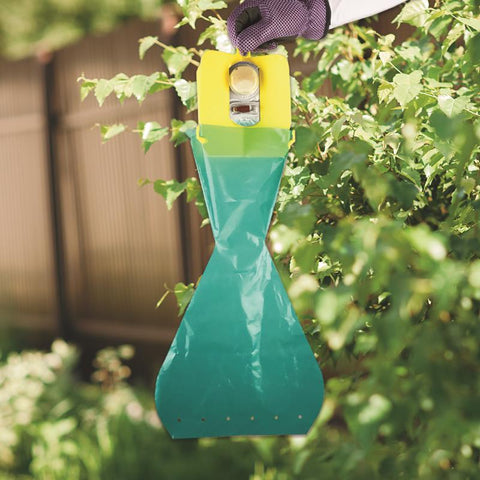 Bonide Beetle Trap Bags, 6 Pack