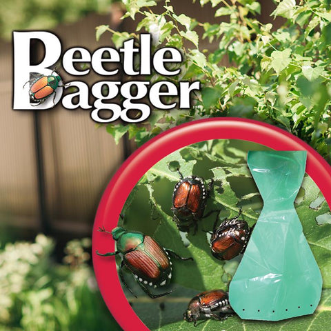 Bonide Beetle Trap Bags, 6 Pack