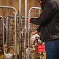 Tarter Kidding Pen Panel with Hardware- 10' Galvanized.