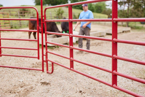 Tarter American Corral Panel-6-Bar Economy Corral Panel- 10' Green