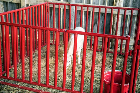 Tarter Vertical Bar Small Animal Panel