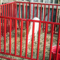 Tarter ***Vertical Bar Small Animal Panel