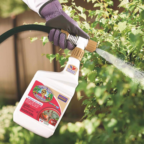 Bonide® 255 Captain Jack's Deadbug Brew™, Ready To Spray, 1 Qt