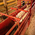Tarter Cattlemaster Adjustable Alley Arch - Two-Way