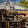 Tarter Left Hand Bucking Chute