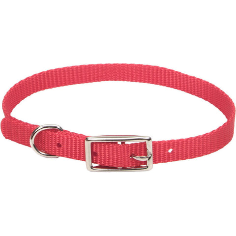 Coastal Single Ply Dog Collar, 3/8 x 12 in, Red