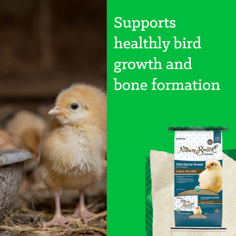 Nutrena® Nature Smart® 20% Protein Chick Starter Grower Crumble 35 lbs