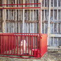 Tarter Walk-Thru 6-Bar - 4' Brown