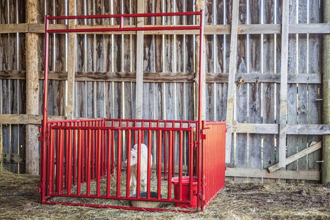 Tarter Vertical Bar Small Animal Walk-Thru