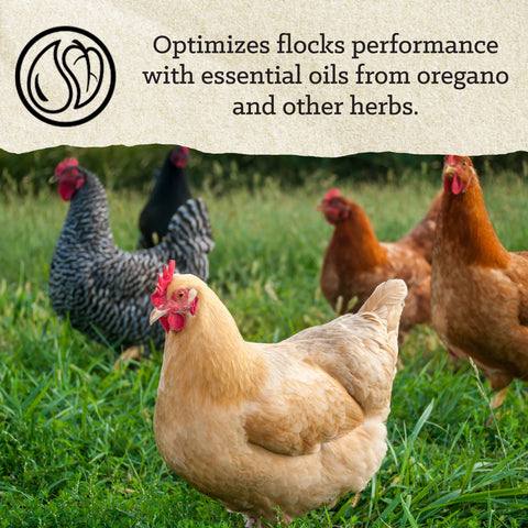Nutrena® NatureWise® Free-Range Egg Producer 21% Protein Pellet 50 lbs