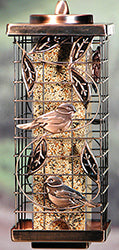 Squirrel-resistant Caged Tube Feeder 2 LB Cap Copper