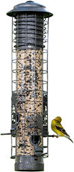 Dragonfly Squirrel-resistant Tube Feeder 2.5 LB Cap Gray