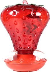 Strawberry Plastic Hummingbird Feeder 40 OZ Cap Red