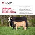Purina® Wind & Rain® Storm® Hi-Mag 4 Complete Cattle Mineral, 50 lb – view 2