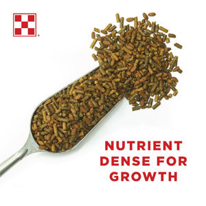 Purina® Ultium® Growth Horse Formula, 50 lb