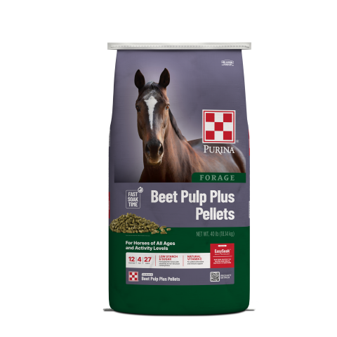 Image of Beet Pulp Plus Pellets for horses front view