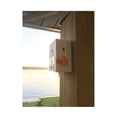 Bees N Things Carpenter Bee Trap