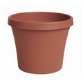 Bloem Terra Pot Planter, Terra Cotta, 8"