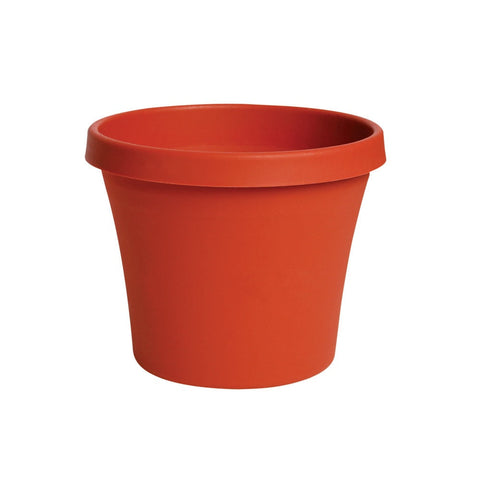 Bloem Terra Pot Planter, Terra Cotta, 6"