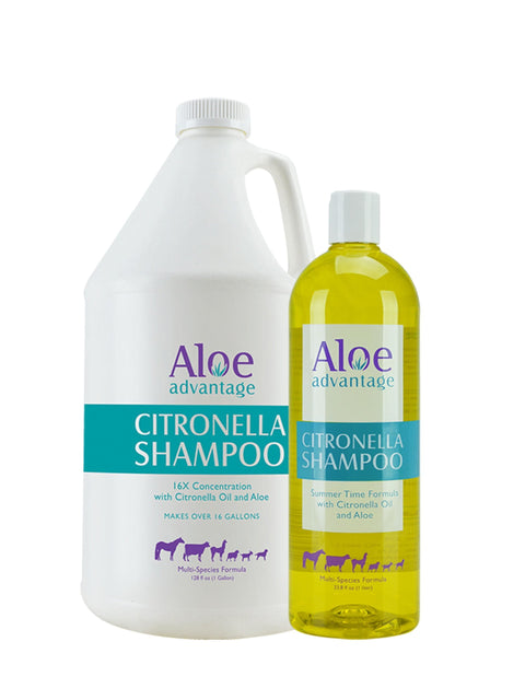 Durvet Aloe Advantage Citronella Shampoo