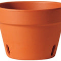 Deroma Red Clay Orchid Pot, 8.3 in