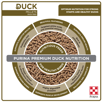 Purina® Duck Feed Pellets, 40 lb