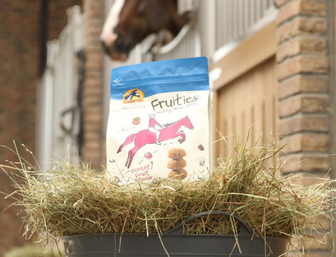 Cavalor Fruities Horse Treats in Hand