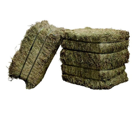 Semican PURE Timothy Hay – 2nd Cut, 40 lb Compressed Bale