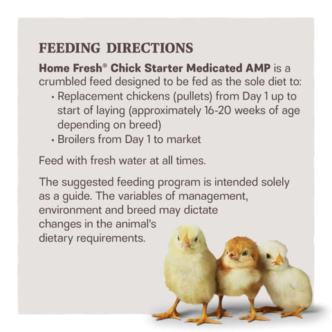 Home Fresh® Chick Starter AMP Medicated Poultry Crumble Feed, 50 lb